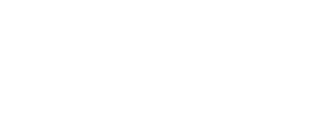 veridian tech llc
